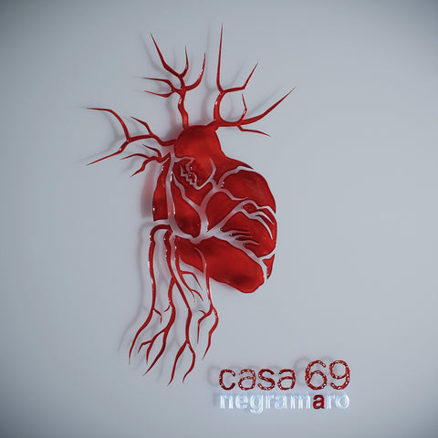 Album Casa 69 dei negramaro, musica pop rock